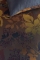 Kardol dekbedovertrek Silueta bruin detail